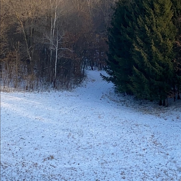 Meet your Posher, Tj - Picture 1 of 1